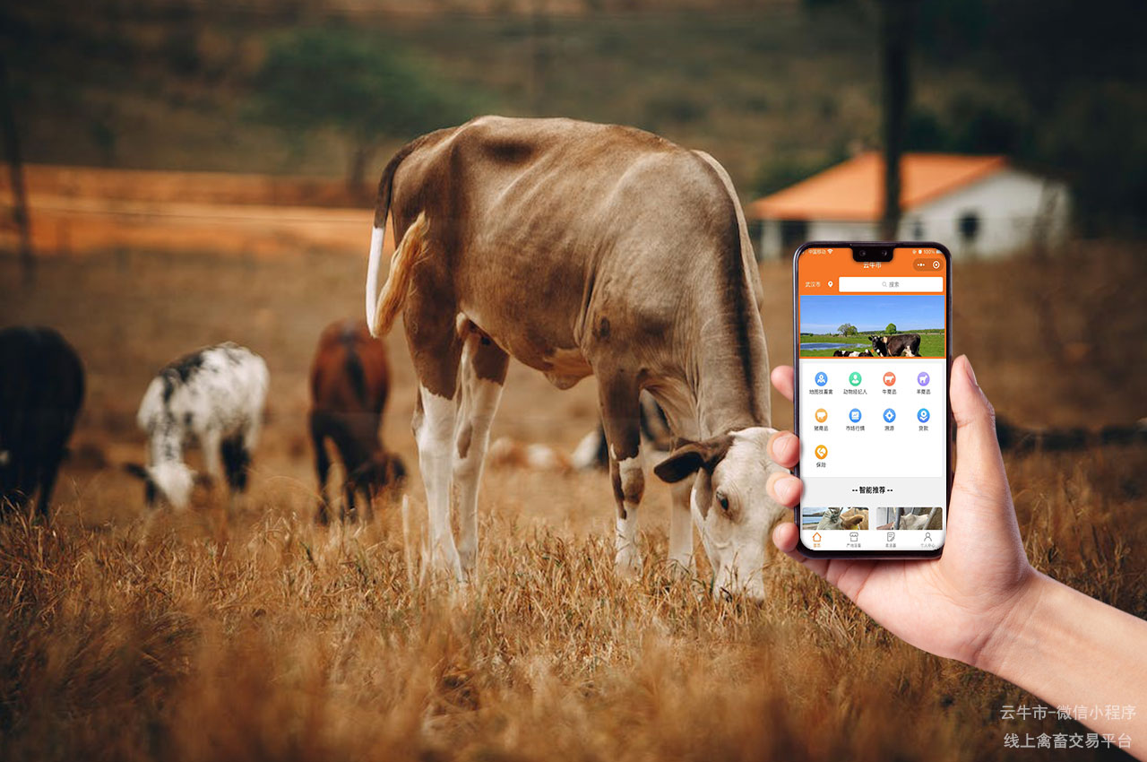 网上禽畜交易平台：提升畜牧业养殖效益的智能平台