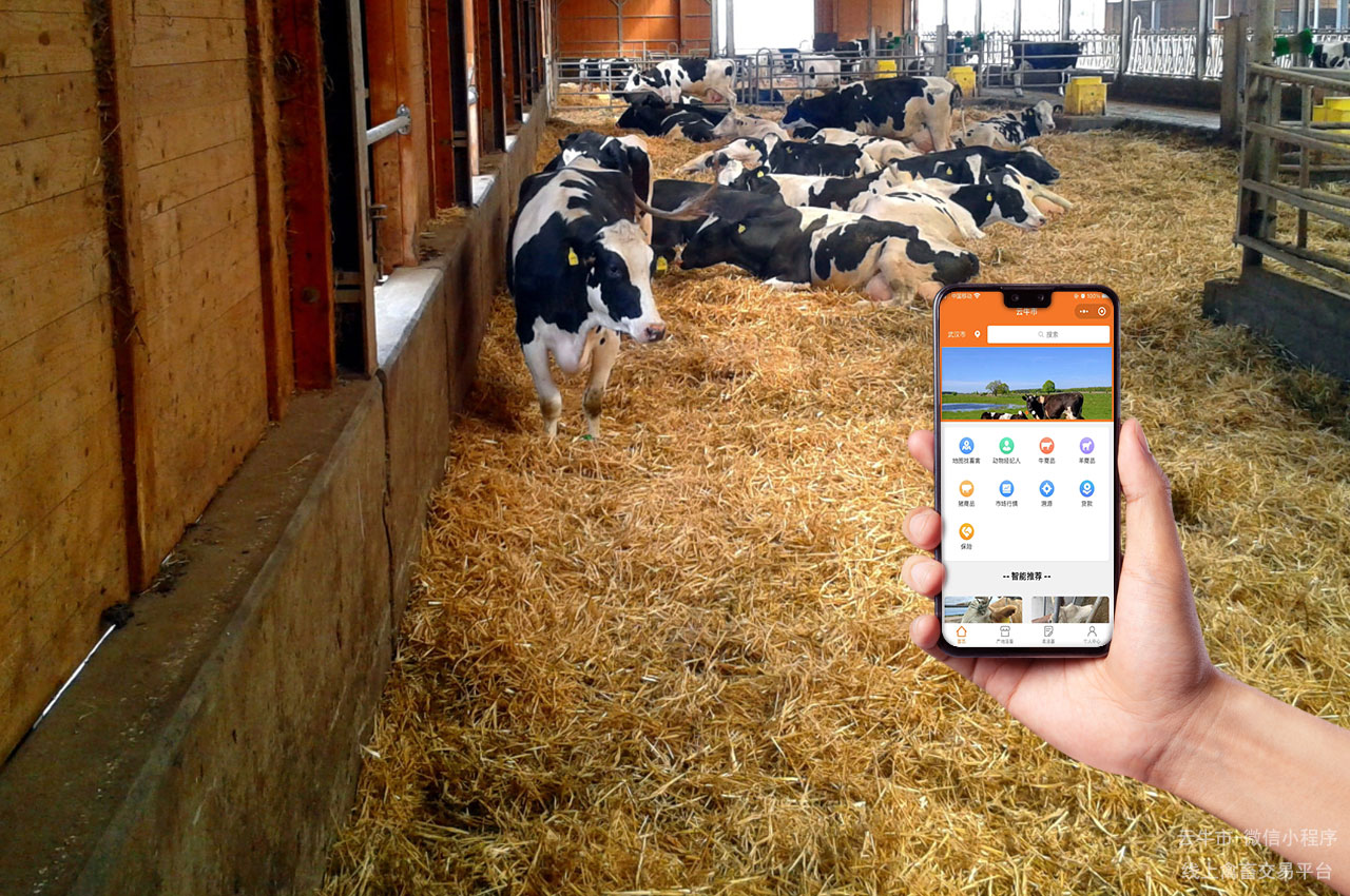 网上禽畜交易平台：畜牧业蓬勃发展的关键