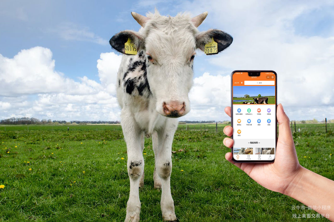 牲畜买卖，云南省可靠的网上买牛软件，有哪些功能不容错过