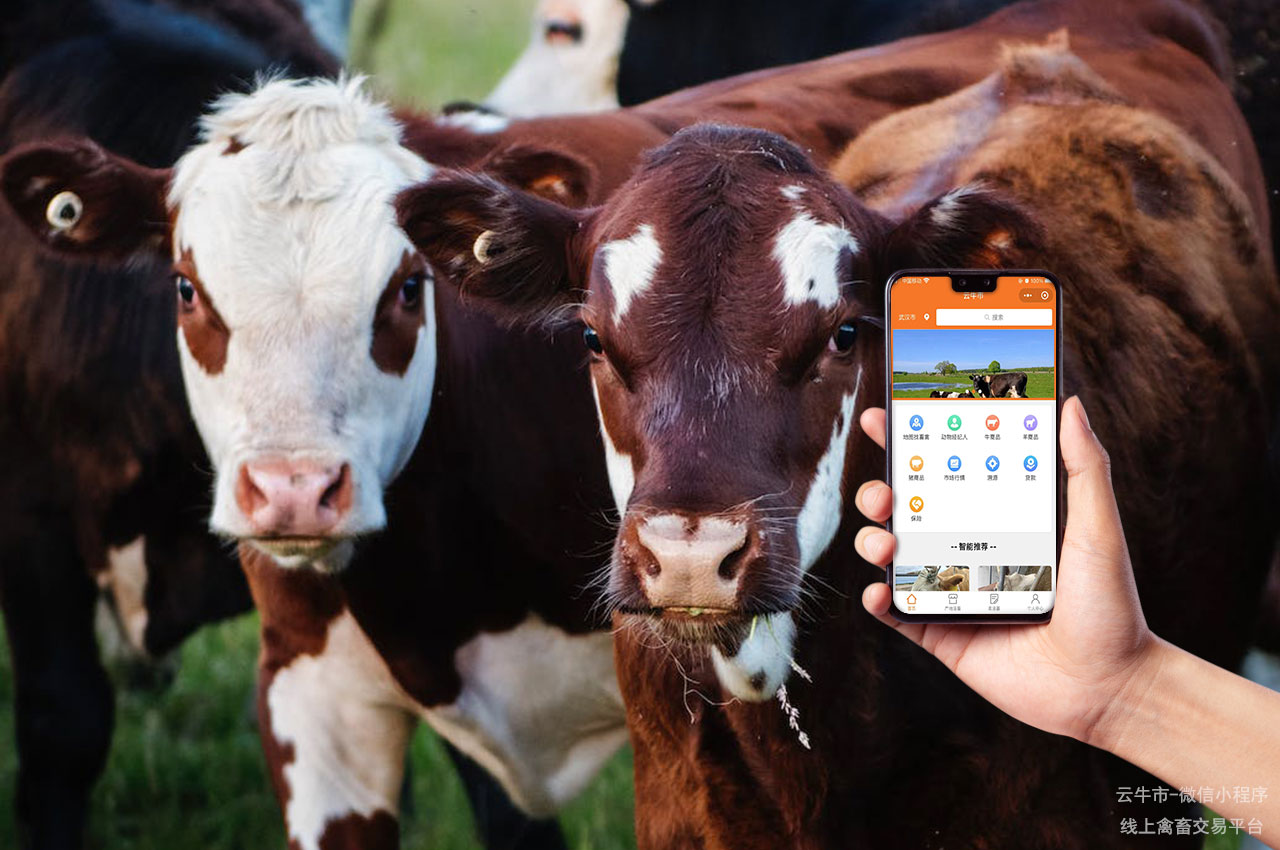 全国活畜交易网：畜牧业交易信息一站式平台